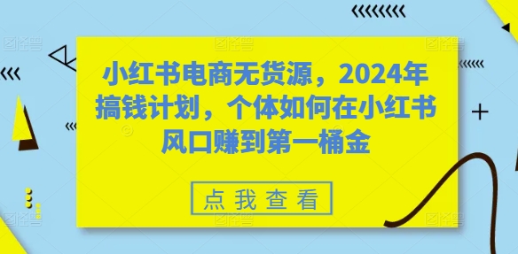 小红书电商无货源，2024年搞钱计划，个体如何在小红书风口赚到第一桶金-泡泡网赚