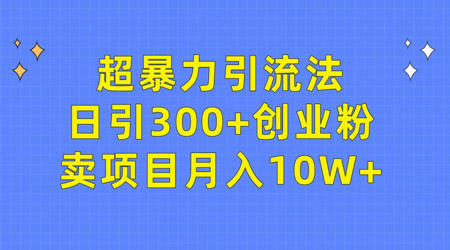 (9954期)超暴力引流法，日引300+创业粉，卖项目月入10W+-泡泡网赚