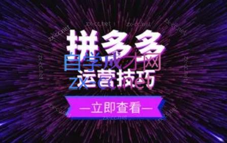 力辛电商·拼多多强付费店群玩法-泡泡网赚