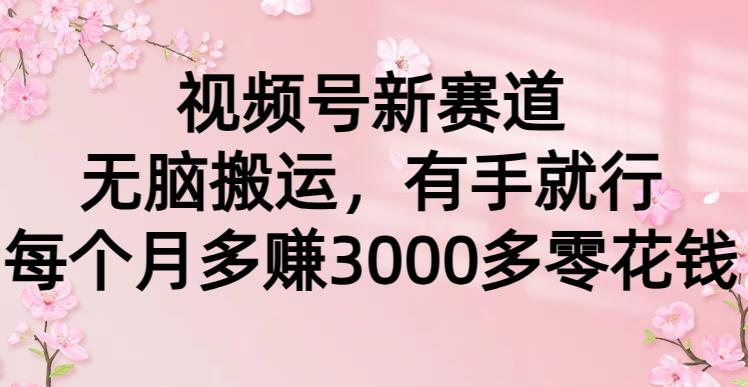 (9278期)视频号新赛道，无脑搬运，有手就行，每个月多赚3000多零花钱-泡泡网赚