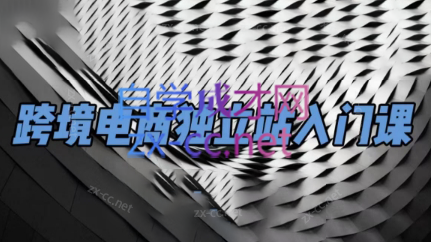 团长·跨境电商独立站入门课(2小时精华)-泡泡网赚
