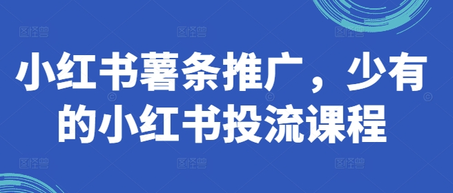 小红书薯条推广，少有的小红书投流课程-泡泡网赚