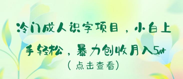 冷门成人识字项目，小白上手轻松，暴力创收月入5w+【揭秘】-泡泡网赚