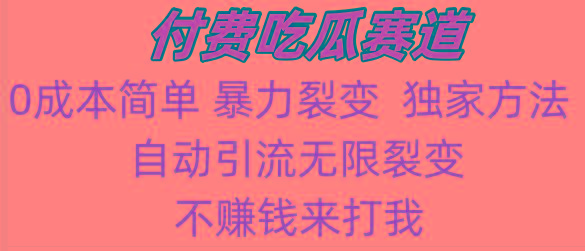 吃瓜付费赛道，暴力无限裂变，0成本，实测日入700+！！！-泡泡网赚