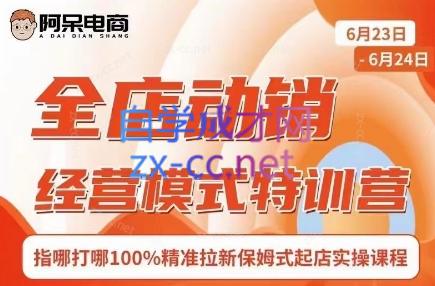 阿呆电商·全店动销经营模式特训营(线下录音+思维导图)-泡泡网赚