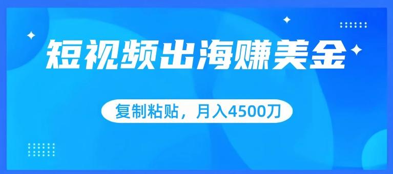短视频出海赚美金，复制粘贴批量操作，小白轻松掌握，月入4500美刀【揭秘】-泡泡网赚