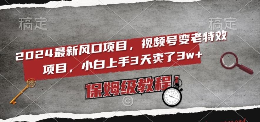 2024最新风口项目，视频号变老特效项目，电脑小白上手3天卖了3w+，保姆级教程【揭秘】-泡泡网赚