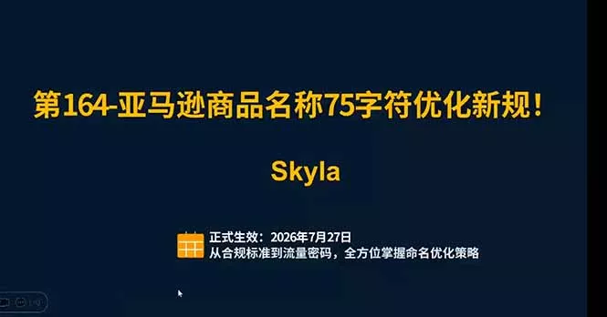 亚马逊跨境实战课：全品类选品逻辑｜SP/SB/SD广告精细化｜新品打爆旺季爆单全套运营教程-泡泡网赚
