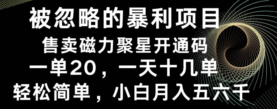被忽略的暴利项目！售卖磁力聚星开通码，一单20，一天十几单，轻松月入五六千-泡泡网赚