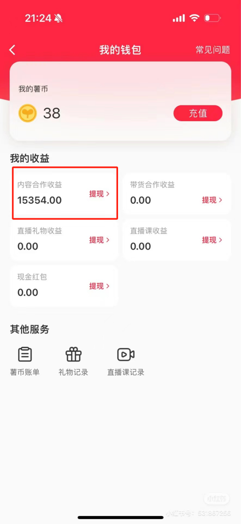 热门评论引爆小红书流量，作品制作简单，广告接到手软，月入过万不是梦-泡泡网赚