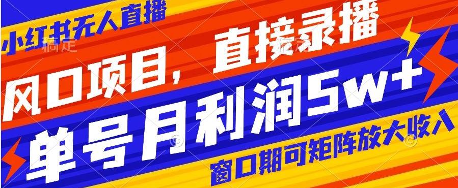 风口项目，小红书无人直播带货，直接录播，可矩阵，月入5w+【揭秘】-泡泡网赚