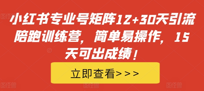 小红书专业号矩阵12+30天引流陪跑训练营，简单易操作，15天可出成绩!-泡泡网赚