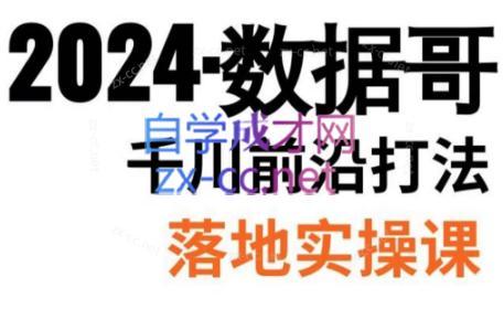 数据哥·2024年千川前沿打法落地实操课-泡泡网赚