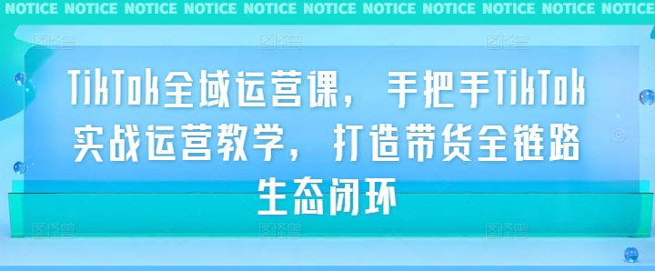 TikTok全域运营课，手把手TikTok实战运营教学，打造带货全链路生态闭环-泡泡网赚