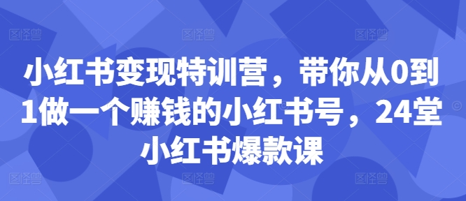 小红书变现特训营，带你从0到1做一个赚钱的小红书号，24堂小红书爆款课-泡泡网赚