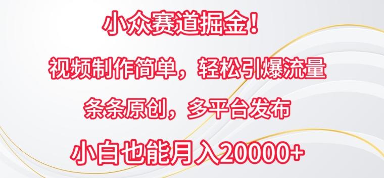 小众赛道掘金，视频制作简单，轻松引爆流量，条条原创，多平台发布【揭秘】-泡泡网赚