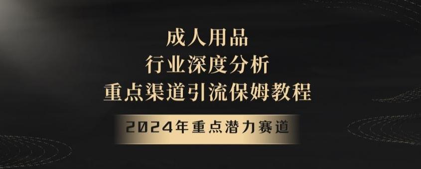 2024年重点潜力赛道，成人用品行业深度分析，重点渠道引流保姆教程【揭秘】-泡泡网赚