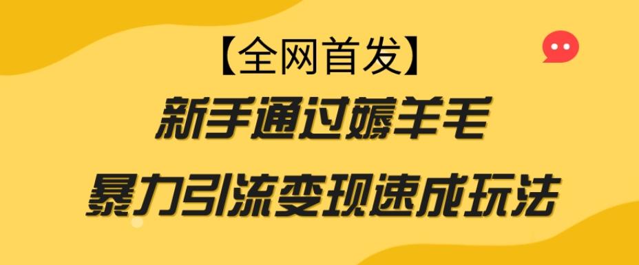 【全网首发】新手通过薅羊毛暴力引流变现速成玩法-泡泡网赚