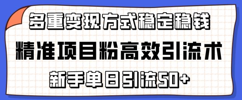精准项目粉高效引流术，新手单日引流50+，多重变现方式稳定赚钱【揭秘】-泡泡网赚