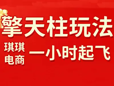 琪琪电商·拼多多擎天柱玩法(更新7月) 琪琪电商·拼多多擎天柱玩法(更新7月)