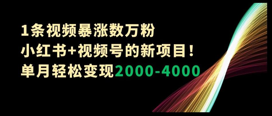 1条视频暴涨数万粉–小红书+视频号的新项目！单月轻松变现2000-4000【揭秘】-泡泡网赚
