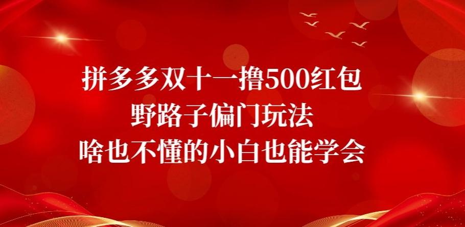 拼多多双十一撸500红包野路子偏门玩法，啥也不懂的小白也能学会【揭秘】-泡泡网赚
