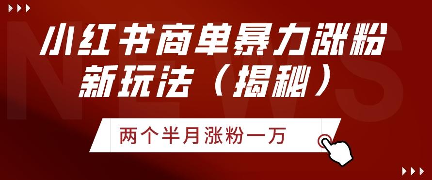 小红书商单暴力涨粉新玩法两个半月涨粉一万（揭秘）-泡泡网赚