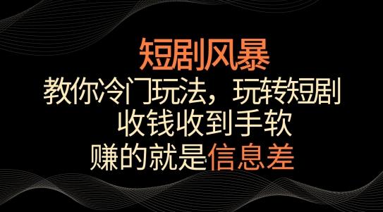 短剧风暴，教你冷门玩法，玩转短剧，收钱收到手软【揭秘】-泡泡网赚