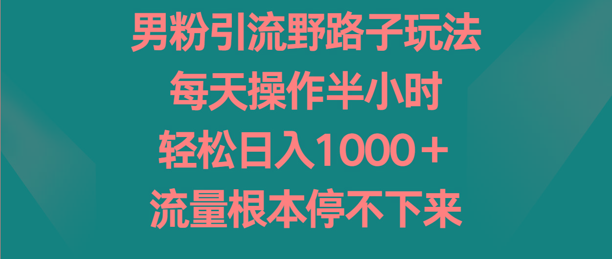 男粉引流野路子玩法，每天操作半小时轻松日入1000＋，流量根本停不下来-泡泡网赚