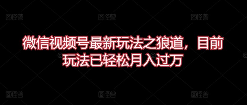 微信视频号最新玩法之狼道，目前玩法已轻松月入过万【揭秘】-泡泡网赚