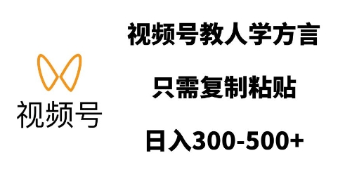 视频号教人学方言，只需复制粘贴，日入多张-泡泡网赚