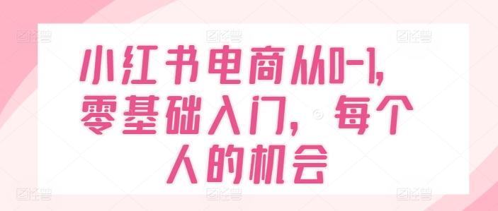 小红书电商从0-1，零基础入门，每个人的机会-泡泡网赚