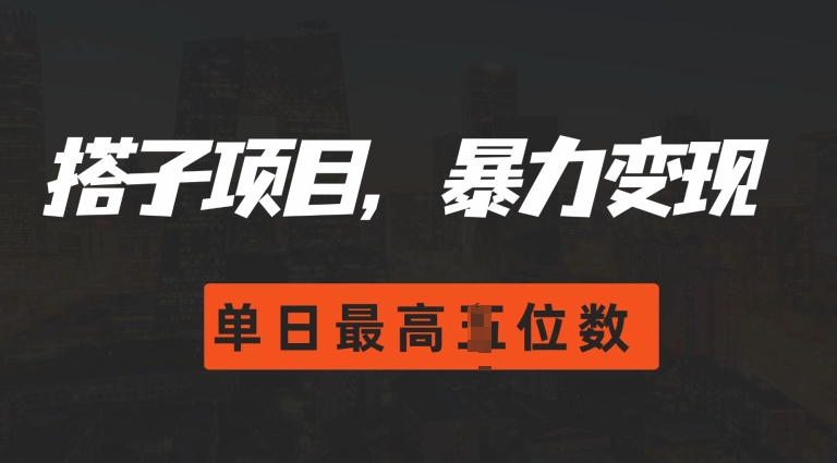 2024搭子玩法，0门槛，暴力变现，单日最高破四位数【揭秘】-泡泡网赚
