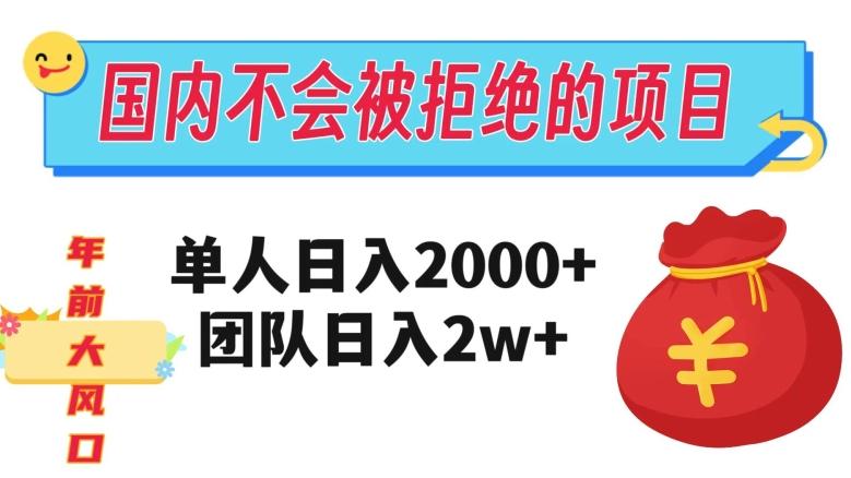 在国内不怕被拒绝的项目，单人日入2000，团队日入20000+【揭秘】-泡泡网赚