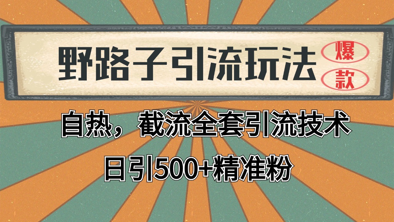 抖音小红书视频号全平台引流打法，全自动引流日引2000+精准客户-泡泡网赚