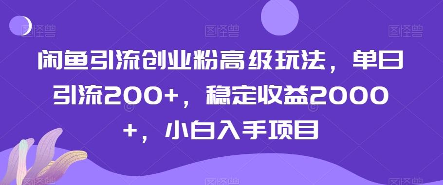 闲鱼引流创业粉高级玩法，单日引流200+，稳定收益2000+，小白入手项目-泡泡网赚