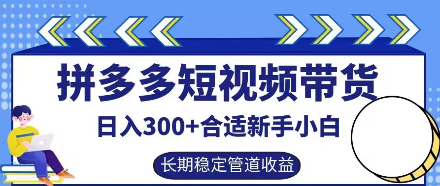 拼多多短视频带货日入300+有长期稳定被动收益，合适新手小白【揭秘】-泡泡网赚