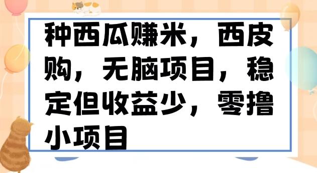 种西瓜赚米，西皮购稳定长久零撸小项目-泡泡网赚