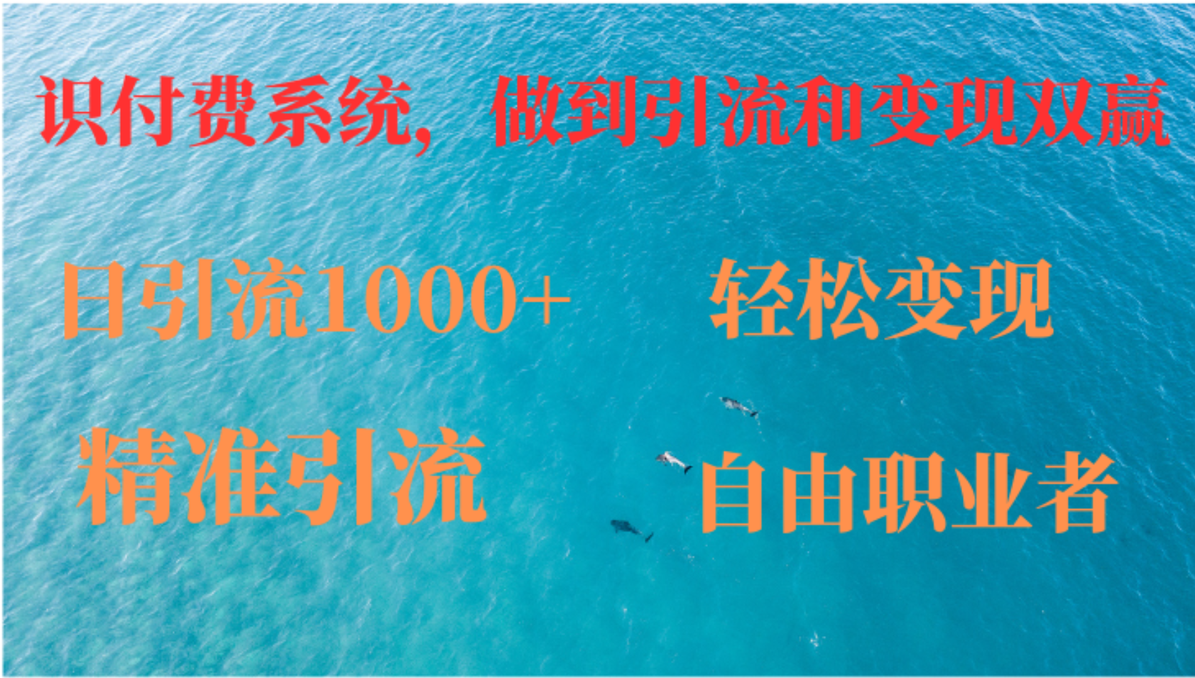 如何搭建自己的知识付费系统，做到引流和变现双赢-泡泡网赚