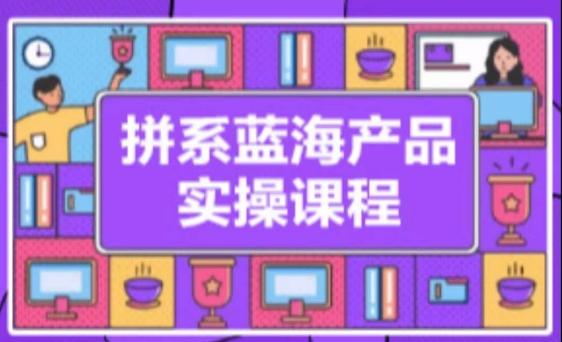 拼系冷门蓝海产品实操课程，从注册店铺到选品上架到流量维护环环相扣-泡泡网赚