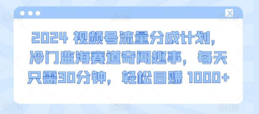 2024视频号流量分成计划，冷门监海赛道奇闻趣事，每天只需30分钟，轻松目赚 1000+【揭秘】-泡泡网赚