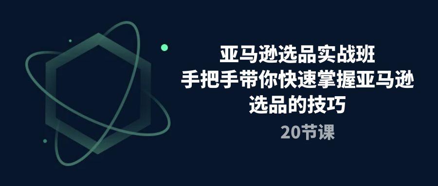 亚马逊选品实战班，手把手带你快速掌握亚马逊选品的技巧(20节课-泡泡网赚