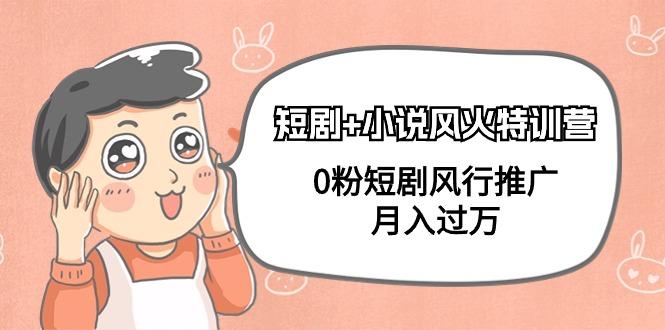 (9374期)短剧+小说风火特训营，0粉短剧风行推广，月入过万(102节课)-泡泡网赚