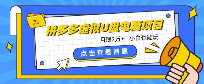 拼多多虚拟U盘电商红利项目：月赚2万+，新手小白也能玩-泡泡网赚