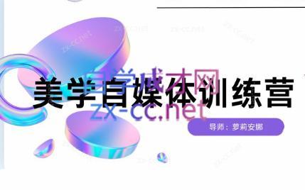 安娜·美学自媒体IP系统课-泡泡网赚