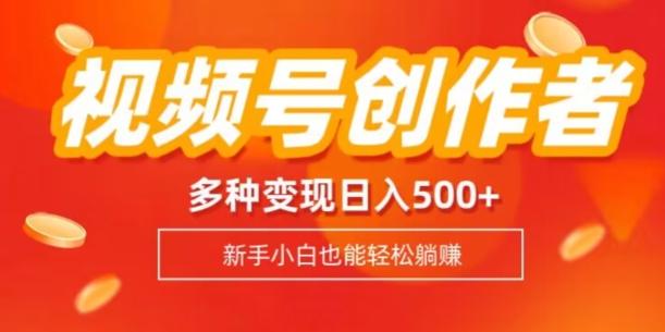 视频号创作者计划，多种变现方式，日入500+【内附1080g视频素材】-泡泡网赚