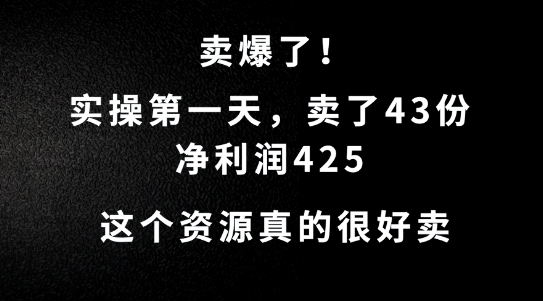 这个资源，需求很大，实操第一天卖了43份，净利润425【揭秘】-泡泡网赚