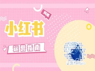 小红书运营指南，没有套路，全是经验-泡泡网赚