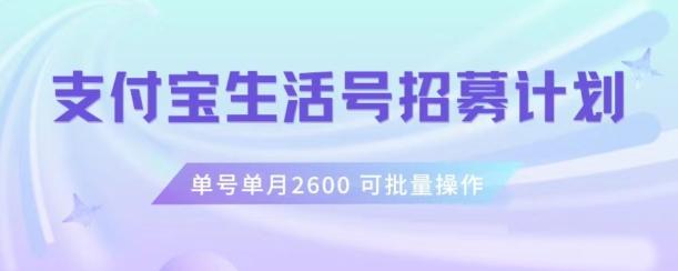 支付宝生活号作者招募计划，单号单月2600，可批量去做，工作室一人一个月轻松1w+【揭秘】-泡泡网赚