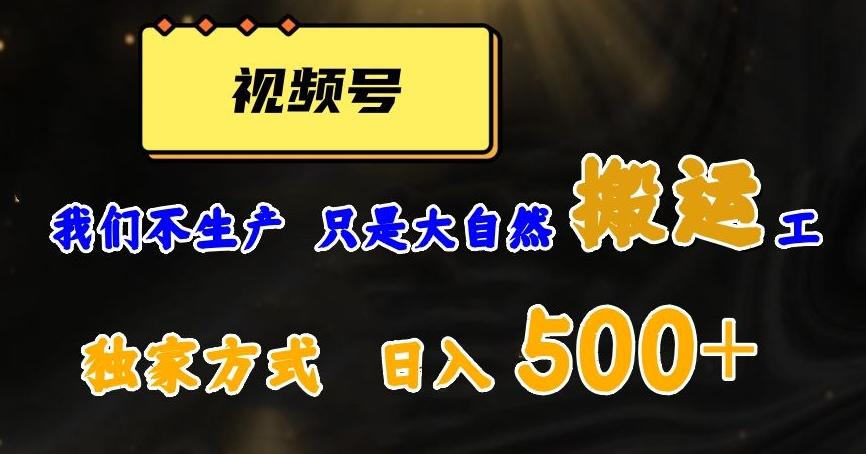 视频号轻松搬运日赚500+，一个1分钟1条原创视频【揭秘】-泡泡网赚